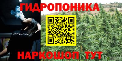 jwh Кизилюрт