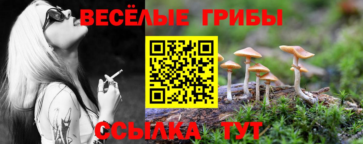 Псилоцибиновые грибы мицелий Керчь