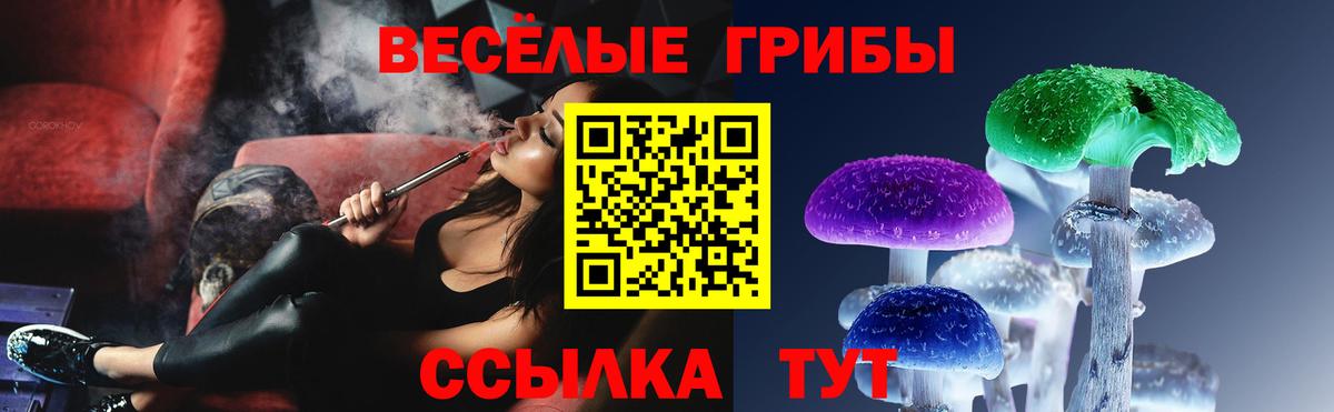 Керчь  Псилоцибиновые грибы Psilocybe  Вход с VPN  Галлюциногенные грибы прущие грибы 